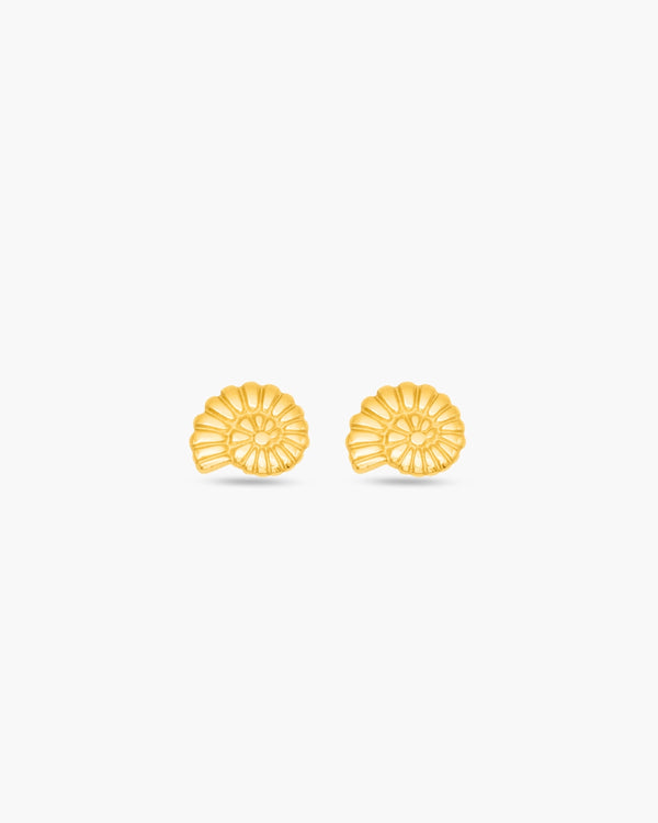 Amara Shell Stud Earrings