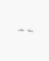 Sardina Stud Earrings Silver