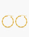 Pair of gold hoop earrings on a white background