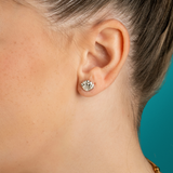 Maris Shell Stud Earrings Silver