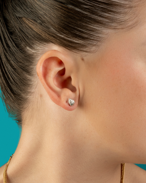 Conchiglia Stud Earrings Silver