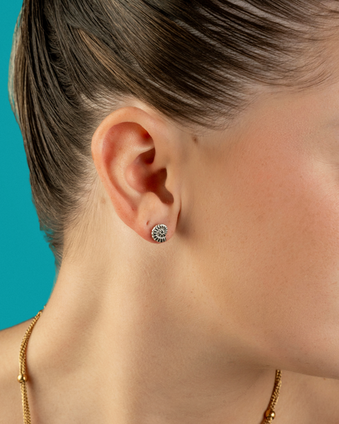Amara Shell Stud Earrings Silver