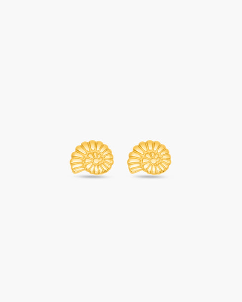 Amara Shell Stud Earrings
