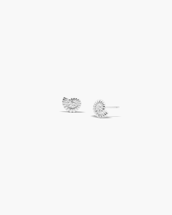 Amara Shell Stud Earrings Silver